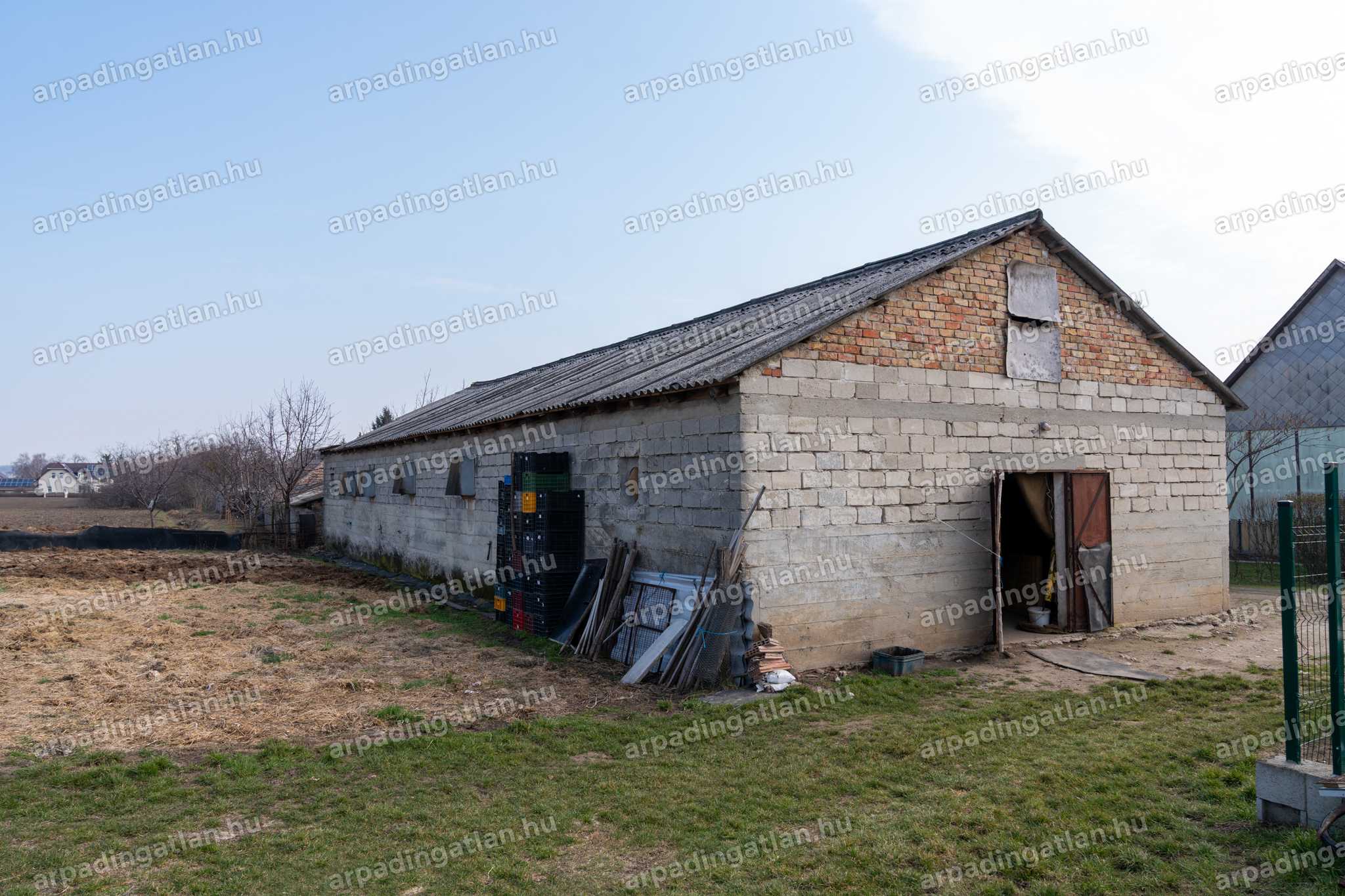 Bicske Kertváros – 3. fotó